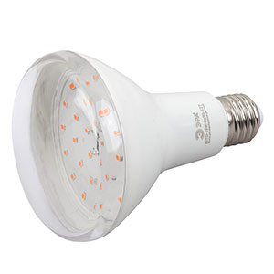 Лампа ЭРА ФИТО полного спектра FITO-15W-Ra90-E27