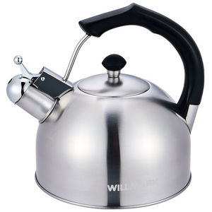 Чайник Willmark WTK-3619SS (3,0 л, матовый)