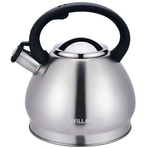 Чайник Willmark WTK-4221SS (3,5 л, матовый)