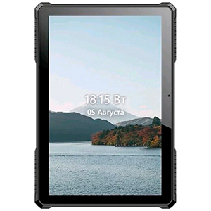 Планшетный ПК BQ 1022L Armor PRO LTE+, 16Gb + 2Gb, 10.1" Print 09 (8000 mAh)
