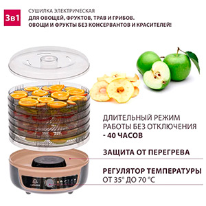 Сушилка для овощей Мастерица EFD-1004VM (5 под.)