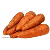 Морковь Приморье